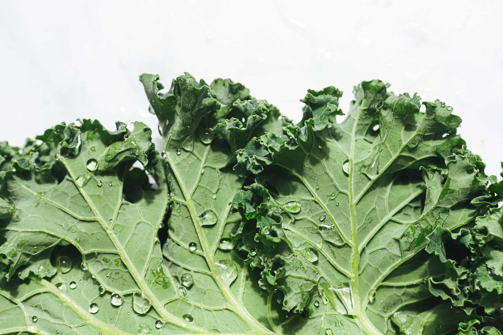 How to glow from the inside out: Gut Health and Your Skin