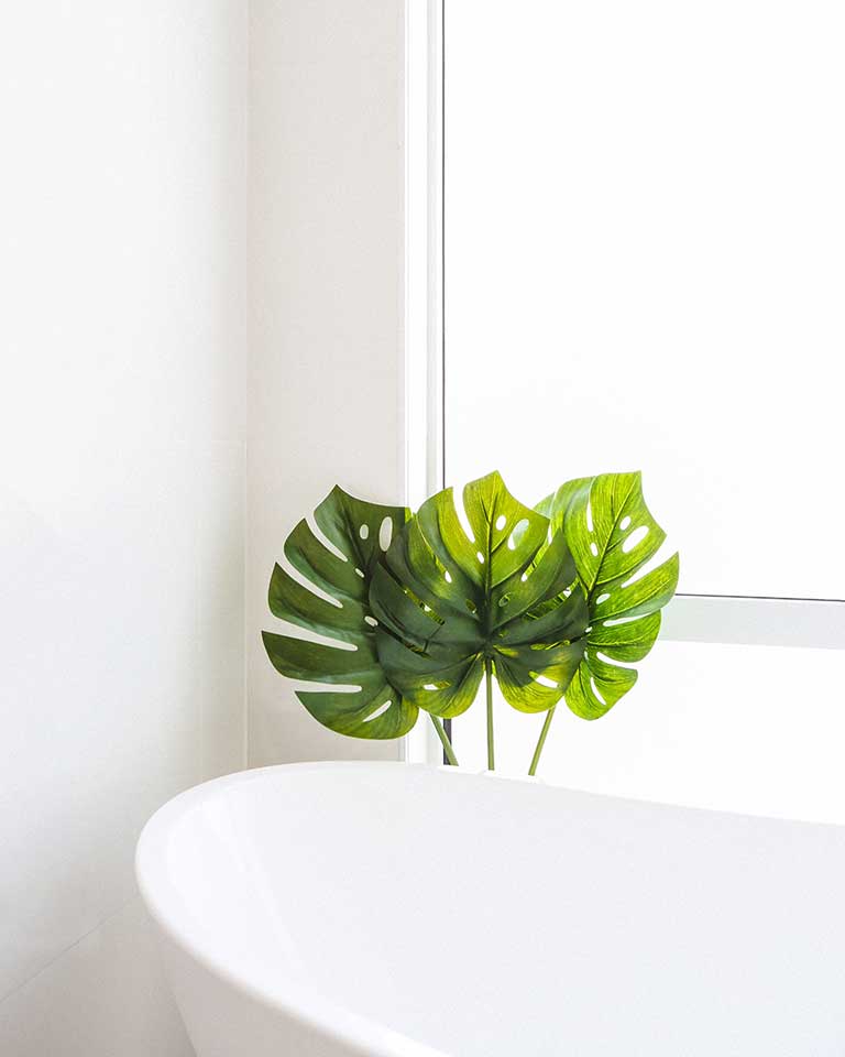 Clean and Green Cosmeceuticals